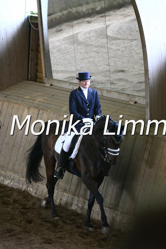 006M5327_Dressurpferde L.JPG